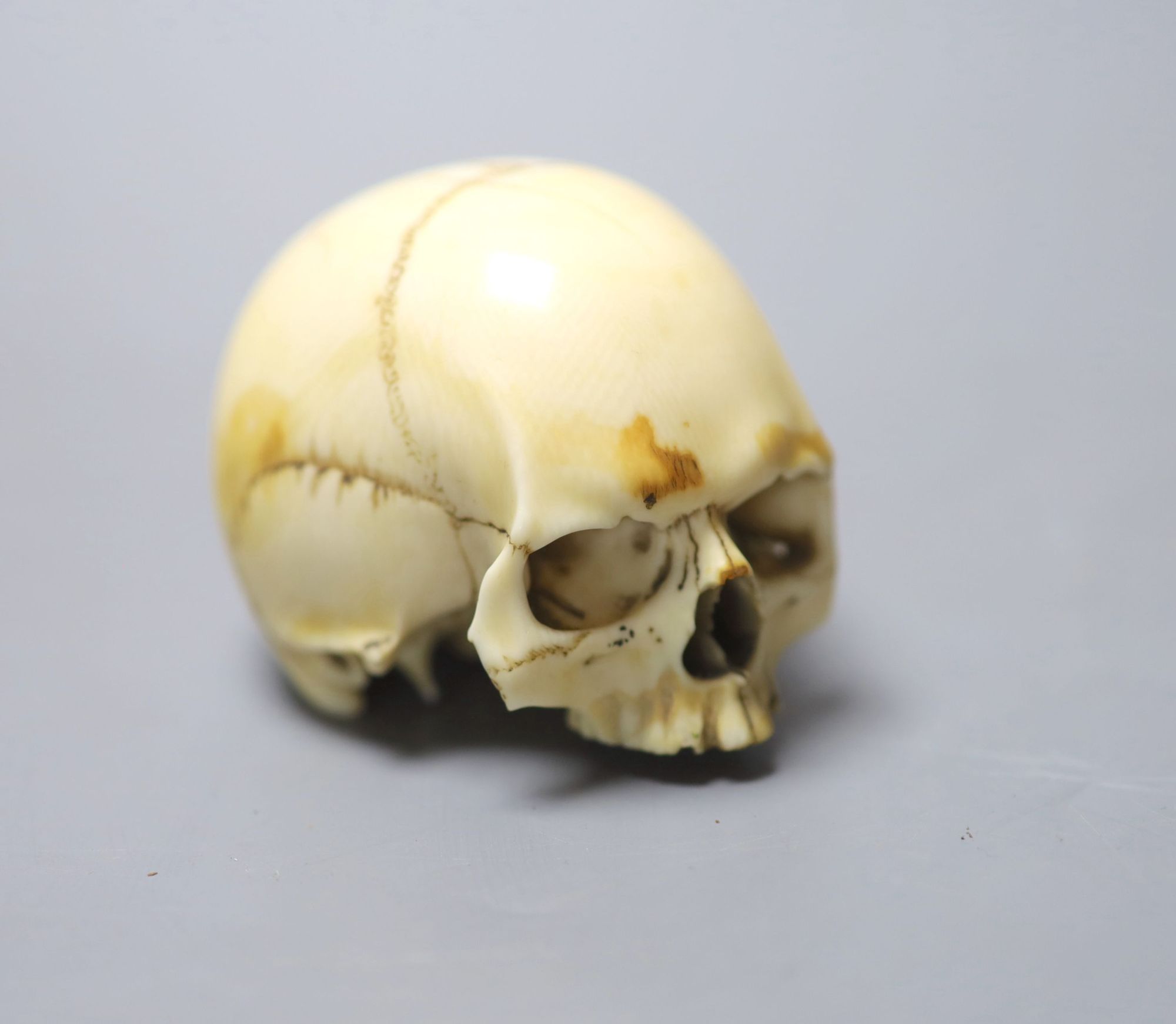 A 19th century ivory model of a human skull, height 5cm, 7cm long, lower jaw lacking